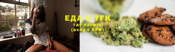 индика Аркадак