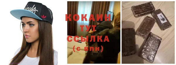 мдпв Бердск