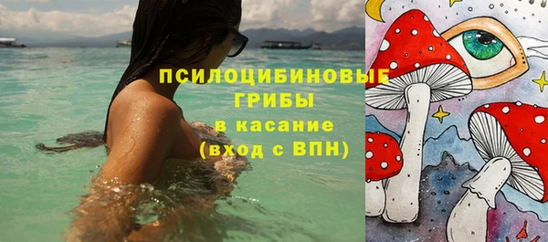 индика Аркадак